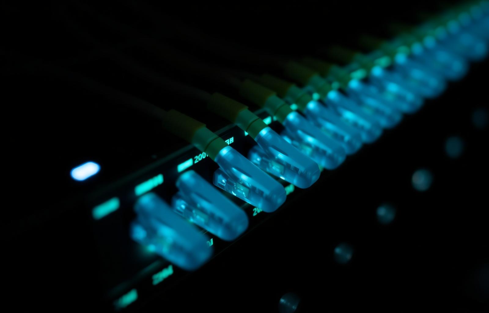 Close-up of fiber optic cables in a network switch